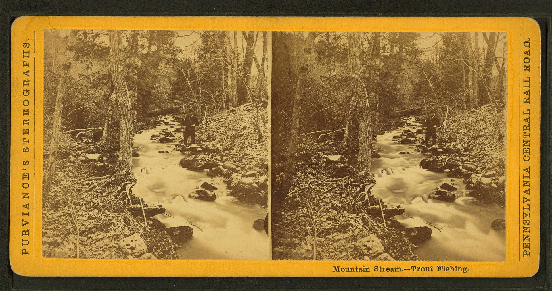 A small stream beat